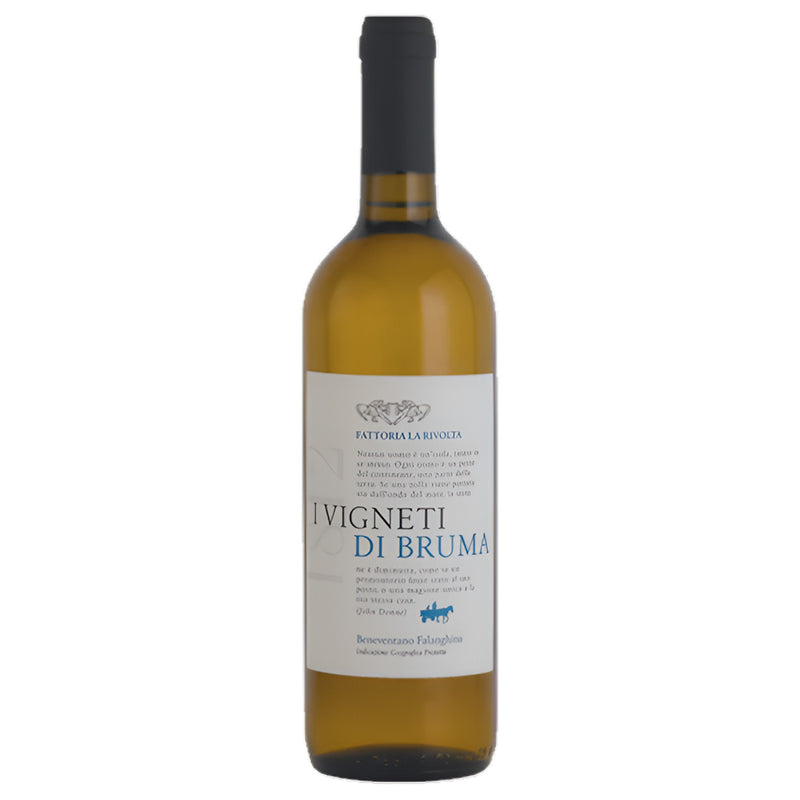 2023 La Rivolta "I Vigneti Di Bruma" Falanghina